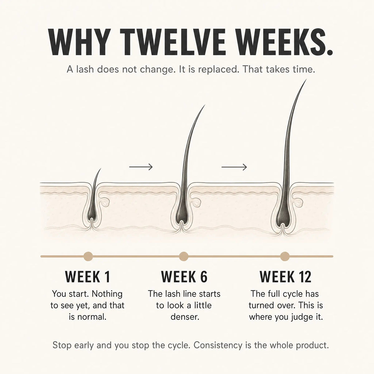 Eyelash Growth Serum
